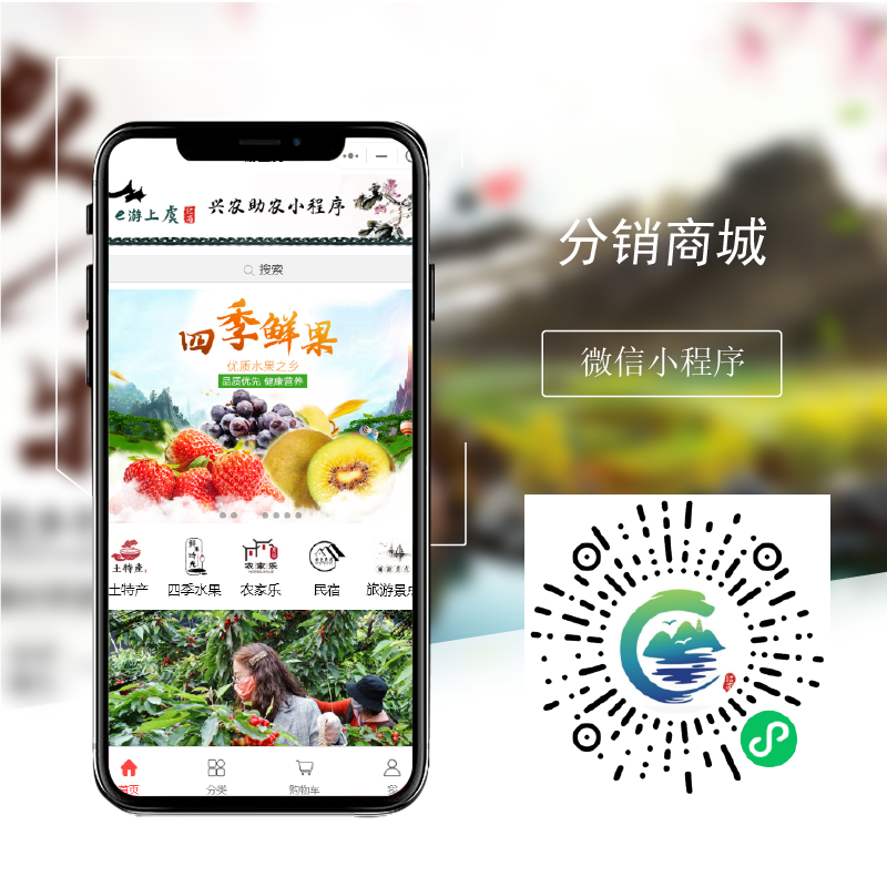 分銷(xiāo)商城小程序(圖1)