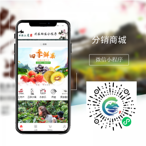 分銷(xiāo)商城小程序